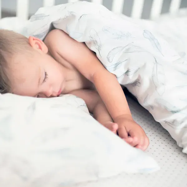 Maylily Bamboo Bedding With Filling L- Dino 2