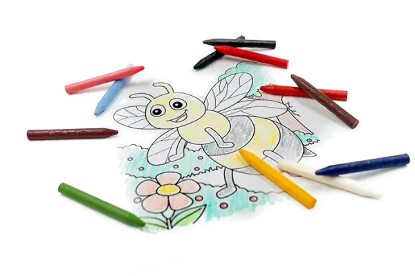 Medenka Beeswax Crayons Classic (12 colors) 2
