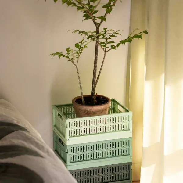 Made Crate-Minty Maxi 2