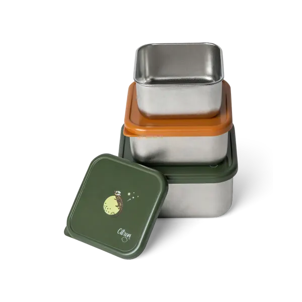 CITRON Tiger Stainless Steel Nesting Stackable Lunchbox 2