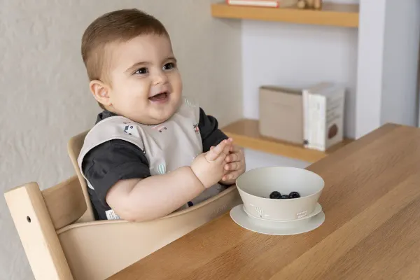 Citron Sleeveless Bib - Vehicles 2
