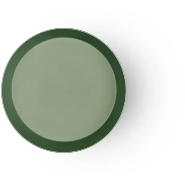 Bio Based Plates - Set of 2 - Green 2