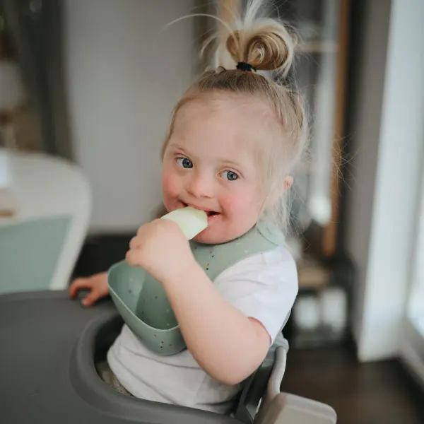 Mushie Silicone Bib Silver Sage 2