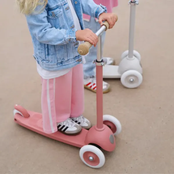 BANWOOD - ECO SCOOTER RASPBERRY 2