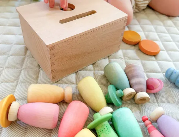 Grapat Montessori / Waldorf Wooden Permanence Box 2