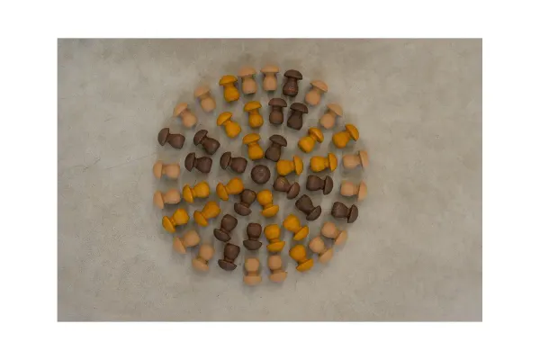 Grapat 36 Piece Mandala Wooden Mushrooms 2 Grapat 36 Piece Mandala Wooden Mushrooms 2