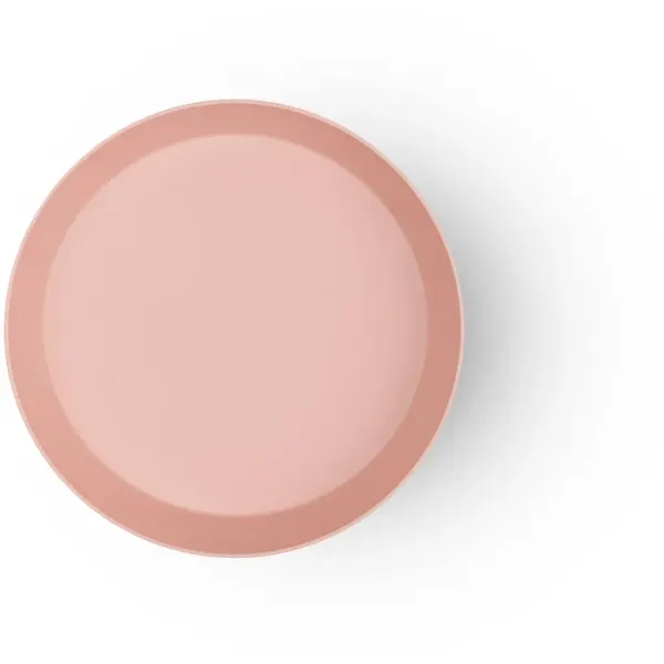 Bio Based Plates - Set of 2 - Pink 2