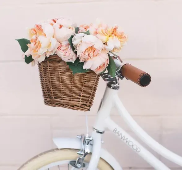 Banwood Balance Bike - Vintage - Pink 2