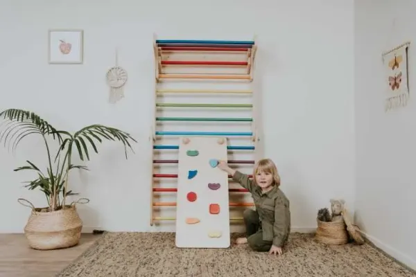 Leg & Go Rock Climbing Ramp & Slide *ONLY* - Rainbow 2