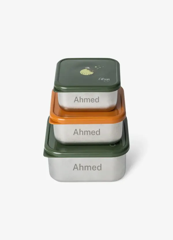 CITRON Tiger Stainless Steel Nesting Stackable Lunchbox