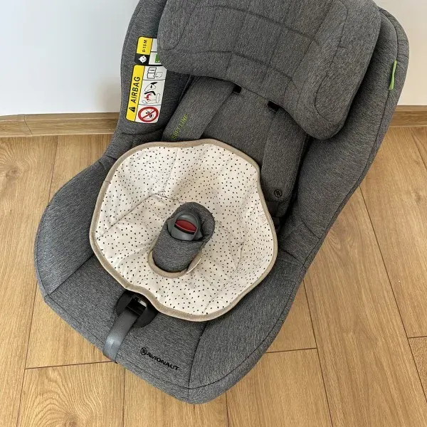 MAYLILY Waterproof Car Seat Protector Dino 2