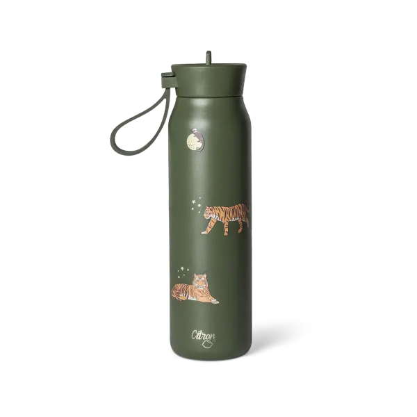 CITRON 350ml Stainless Steel Thermos Bottle - Tiger 2