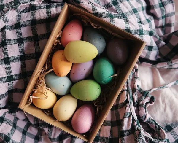Grapat Happy Eggs - 12 Pastel Colourred Wooden Toy Eggs 2