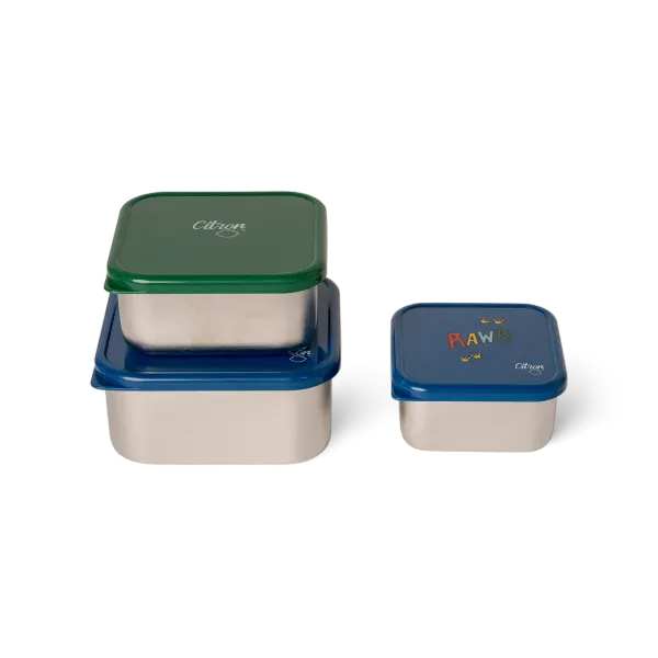 CITRON Stainless Steel Nesting Stackable Lunchbox - Dino 2