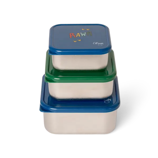 CITRON Stainless Steel Nesting Stackable Lunchbox - Dino